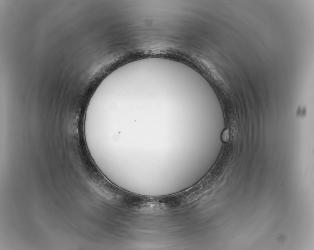 X0000090750543200708101727