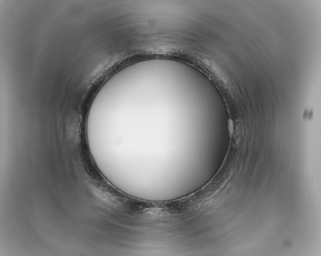 X0000090750544200708101727