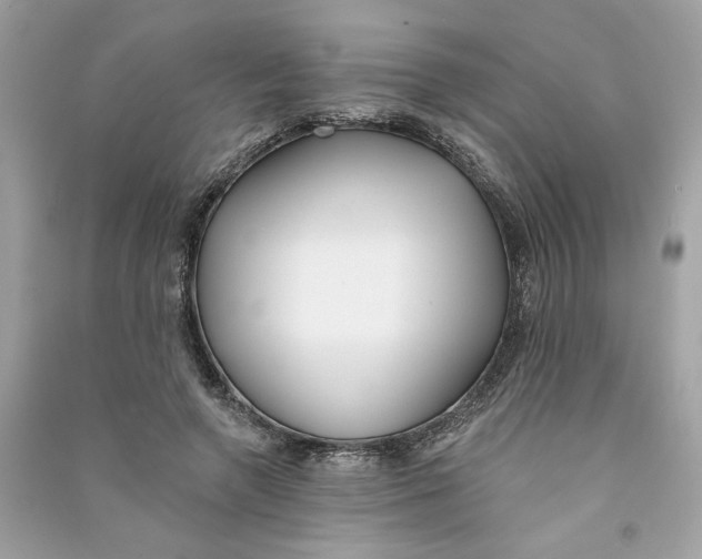 X0000090750546200708101727