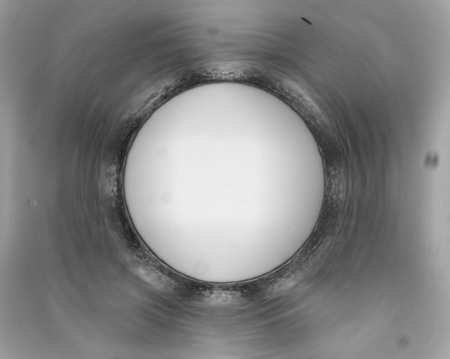 X0000090750549200708101727