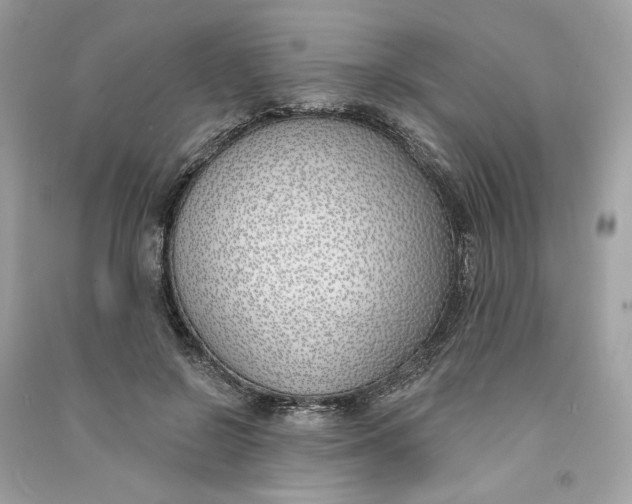 X0000090750550200708101727