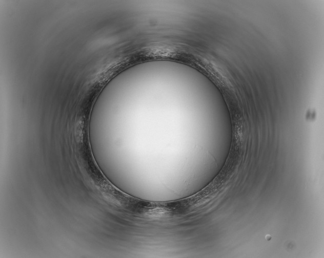 X0000090750551200708101727