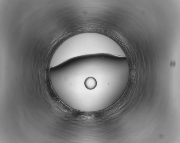 X0000090750552200708101727
