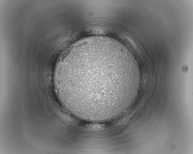X0000090750553200708101727