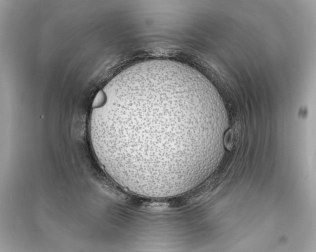 X0000090750554200708101727