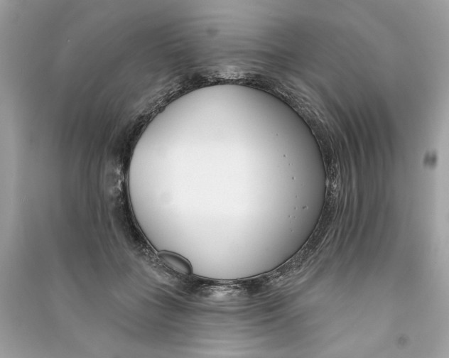 X0000090750555200708101727