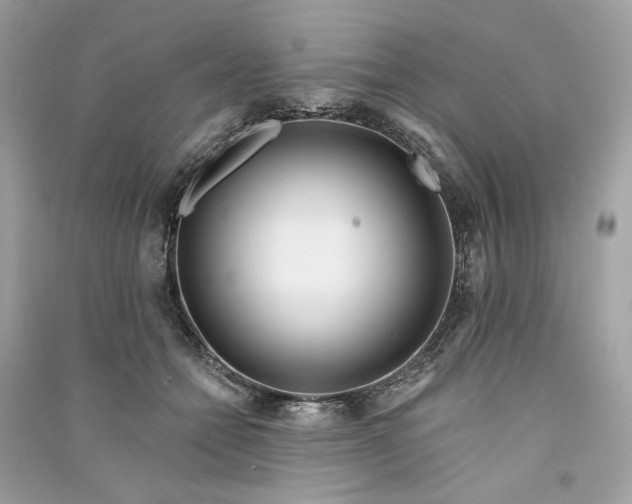 X0000090750558200708101727