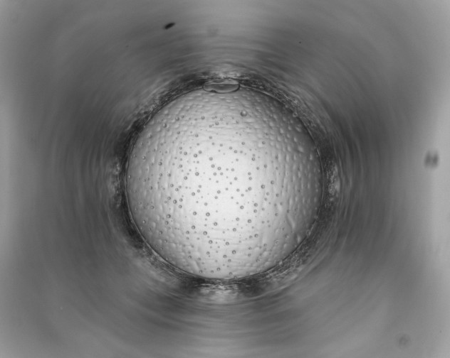 X0000090750559200708101727
