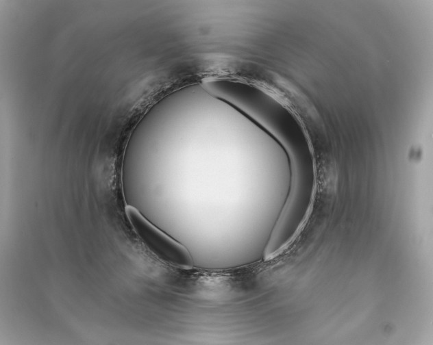 X0000090750560200708101727