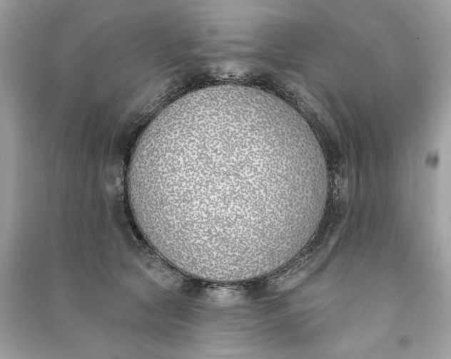 X0000090750561200708101727