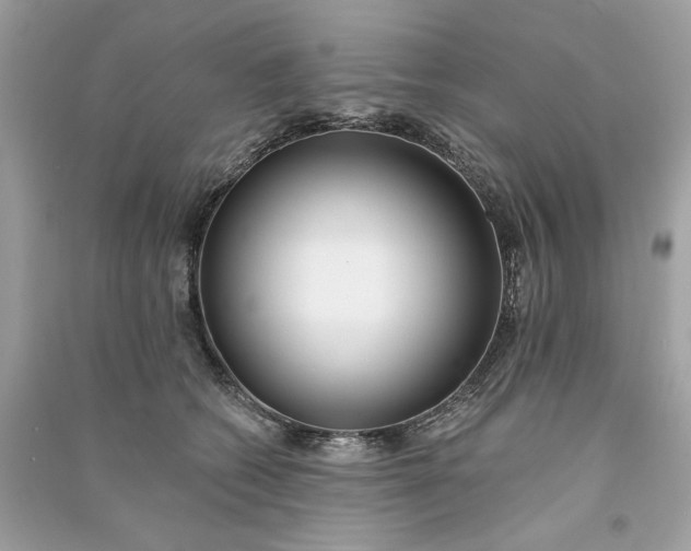 X0000090750562200708101727