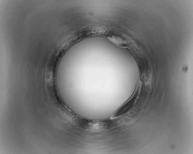 X0000090750564200708101727