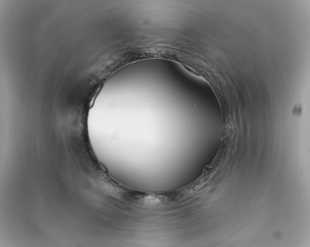 X0000090750566200708101727