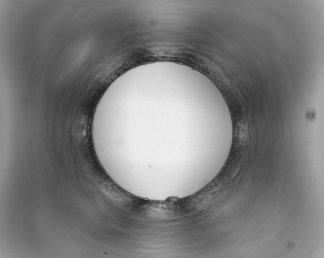 X0000090750567200708101727