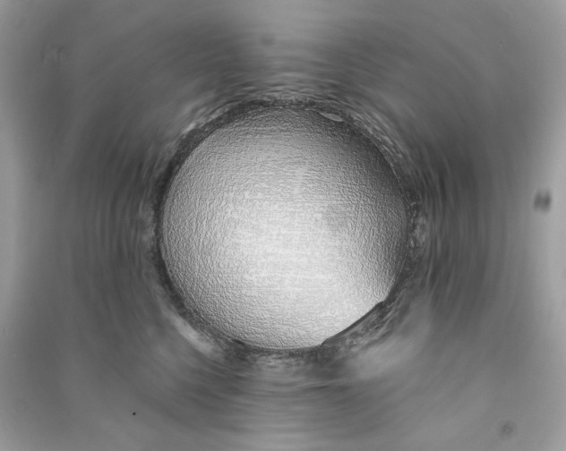 X0000090750568200708101727