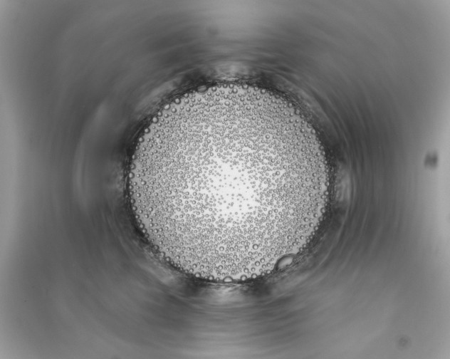X0000090750569200708101727