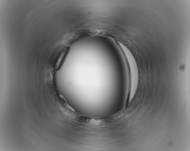 X0000090750570200708101727