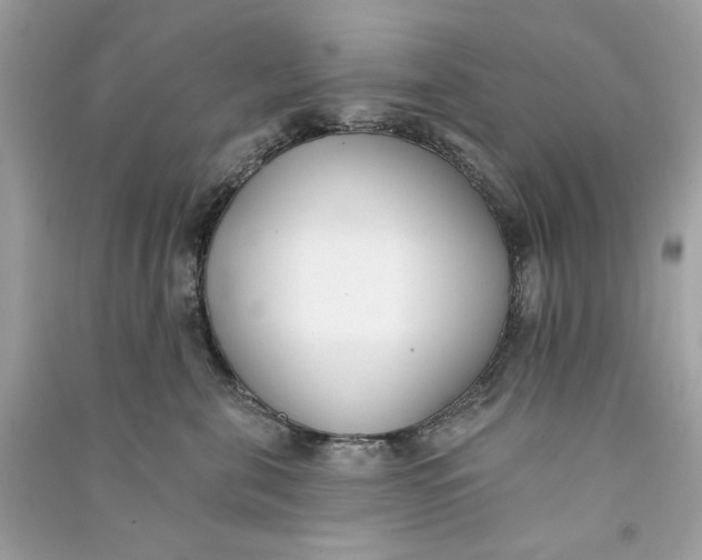 X0000090750571200708101727