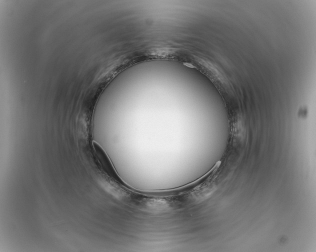 X0000090750572200708101728