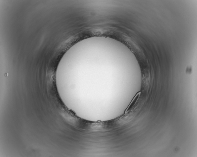 X0000090750574200708101728