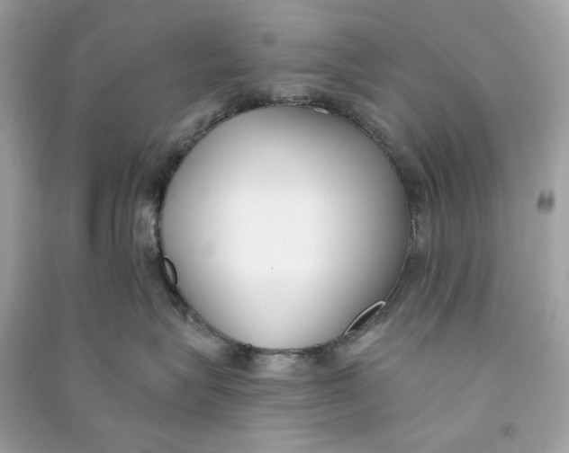 X0000090750575200708101728