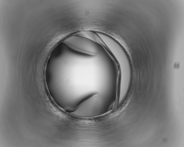 X0000090750577200708101727