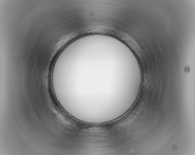 X0000090750578200708101727