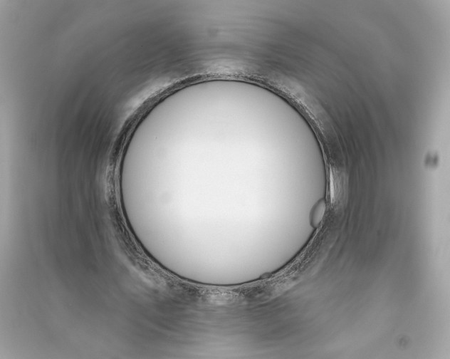 X0000090750579200708101727