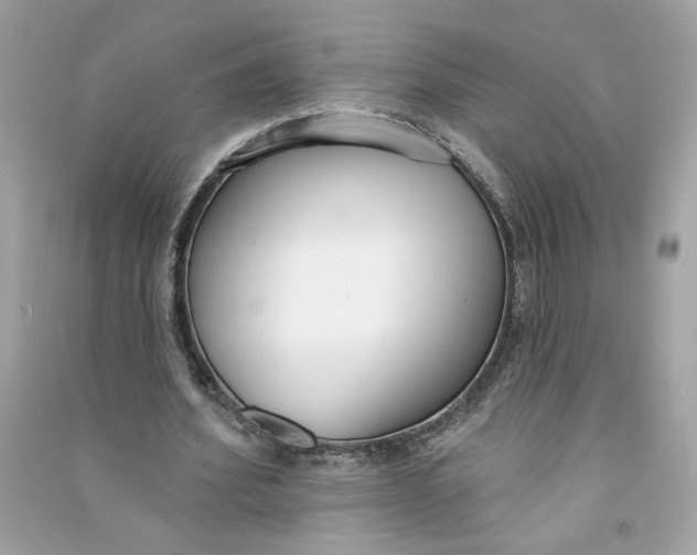 X0000090750580200708101727