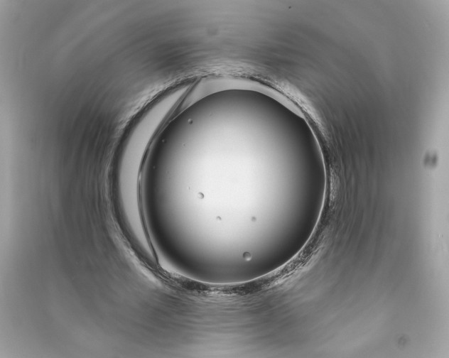 X0000090750581200708101727