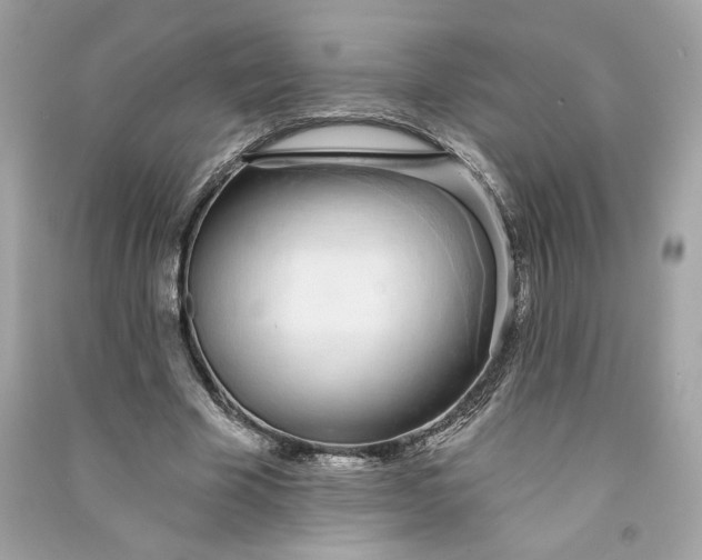 X0000090750585200708101727