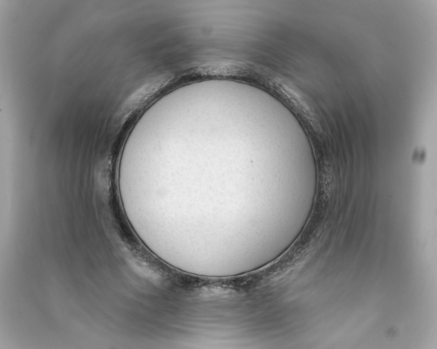 X0000090750586200708101727