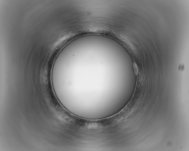 X0000090750587200708101727