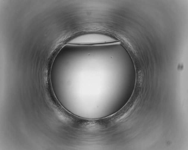 X0000090750589200708101727