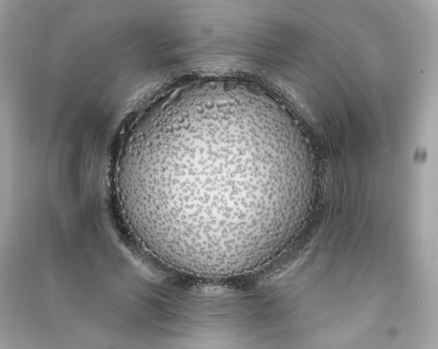 X0000090750590200708101727