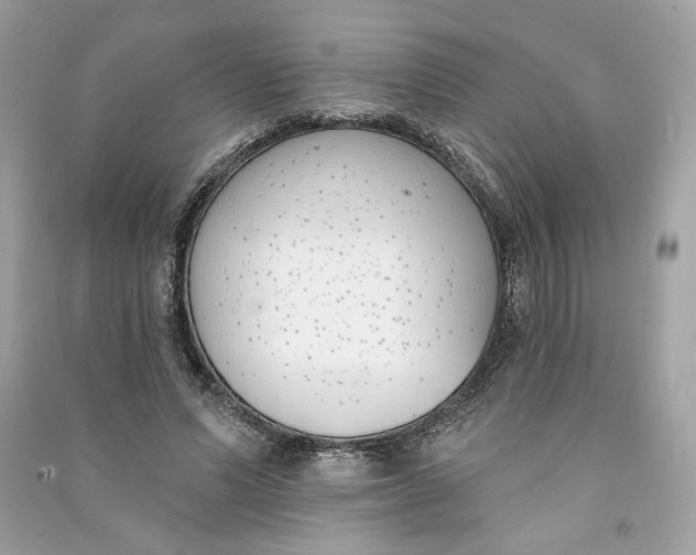 X0000090750591200708101727