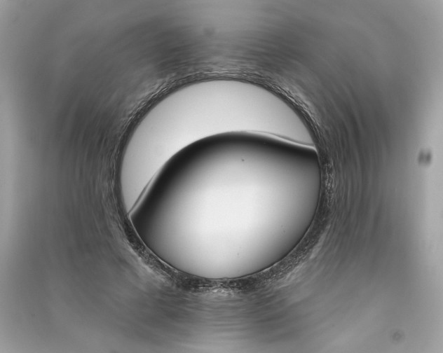 X0000090750593200708101727