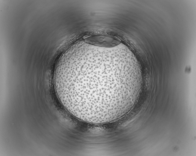 X0000090750594200708101727