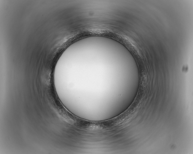 X0000090750596200708101727