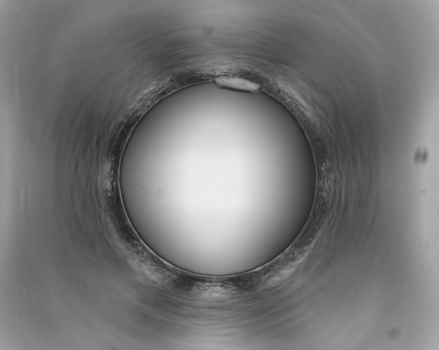 X0000090750597200708101727