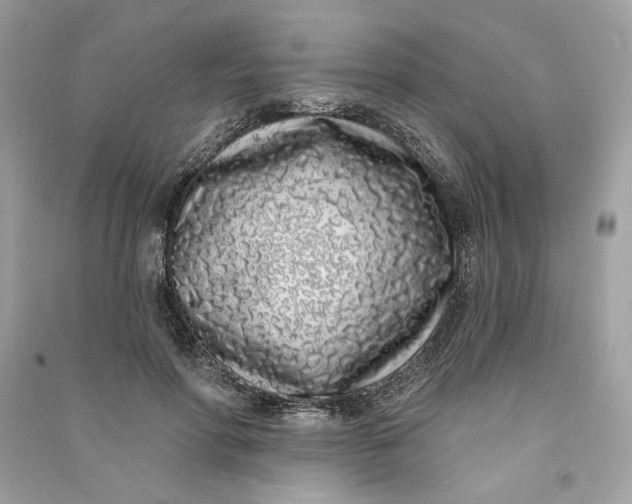 X0000090750598200708101727