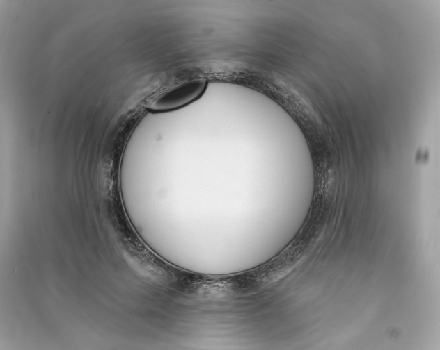 X0000090750599200708101727