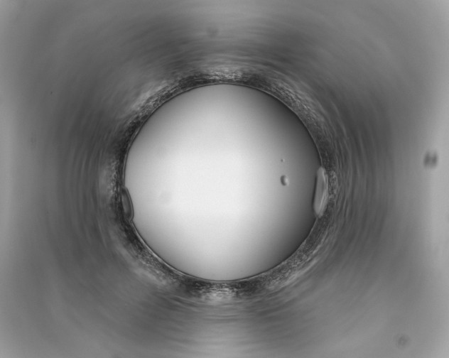 X0000090750600200708101727