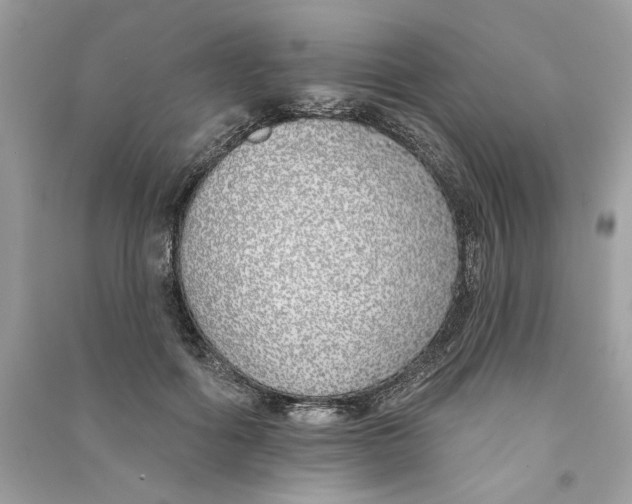 X0000090750602200708101727