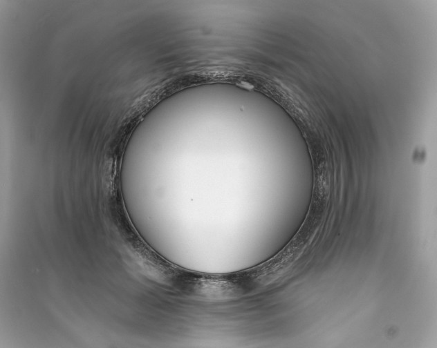 X0000090750605200708101727