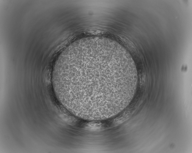 X0000090750606200708101726