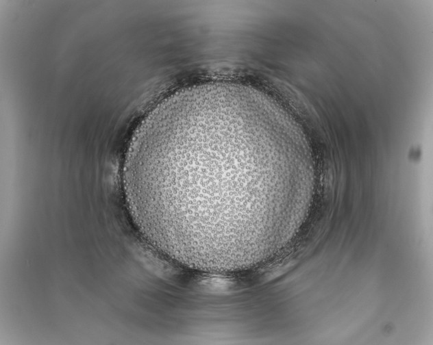 X0000090750610200708101726