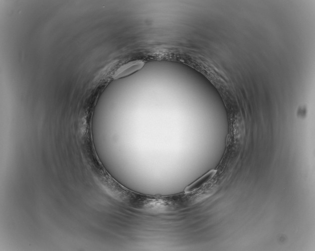 X0000090750611200708101726