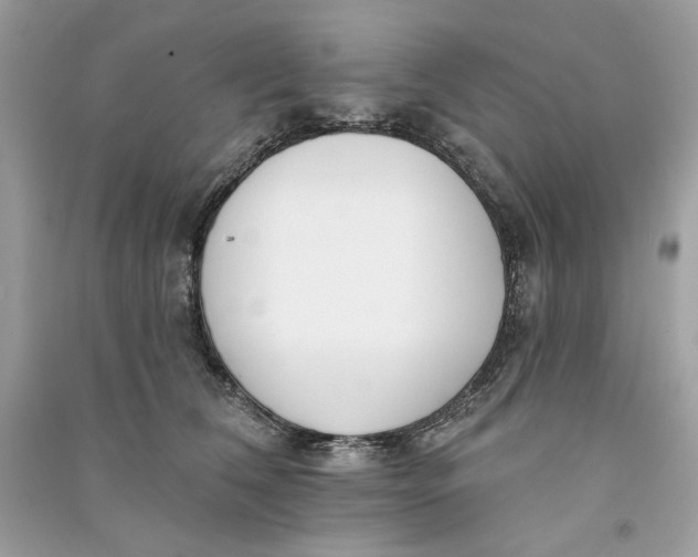 X0000090750612200708101726