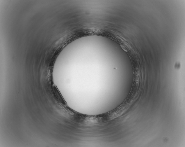 X0000090750613200708101726